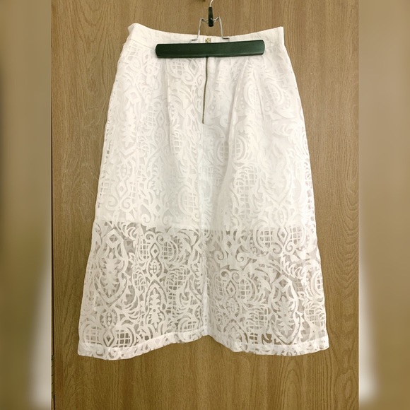 ASOS Lace Burnout Midi Skirt - Picture 2 of 4